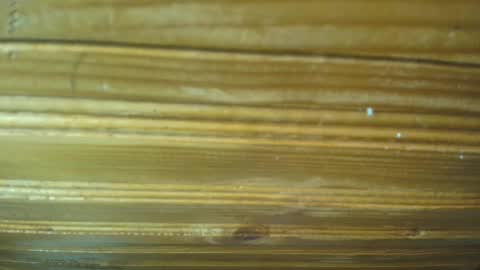 Snapshot of 19carla chatting on February 21, 2025, 11:44 am Carl the good girl online show from February 21, 2025, 11:44 am