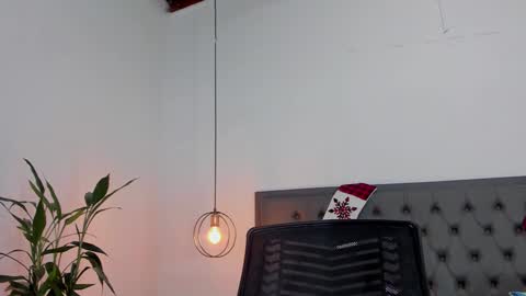 Snapshot of _aline_hall chatting on December 4, 2024, 10:35 am Alline Hall online show from December 4, 2024, 10:35 am