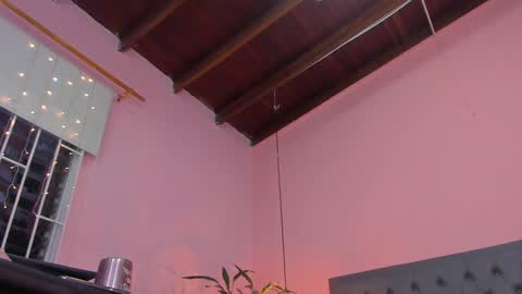 Snapshot of _aline_hall chatting on February 7, 2025, 11:12 am Alline Hall online show from February 7, 2025, 11:12 am