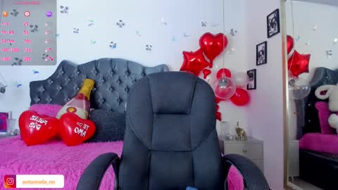 Snapshot of _antonnela_ chatting on February 17, 2025, 4:37 pm antonnela online show from February 17, 2025, 4:37 pm