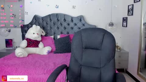 Snapshot of _antonnela_ chatting on February 28, 2025, 1:47 pm antonnela online show from February 28, 2025, 1:47 pm