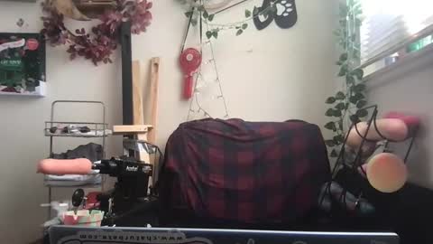 Snapshot of _bandit_b0y chatting on December 26, 2024, 3:31 pm bandit online show from December 26, 2024, 3:31 pm