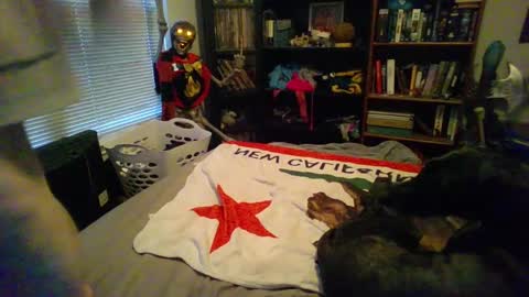 Snapshot of a_bored_dragon chatting on March 11, 2025, 3:56 pm A Bored Dragon online show from March 11, 2025, 3:56 pm