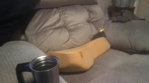 Snapshot of abe_froman2007 chatting on January 19, 2025, 4:33 am abe_froman2007 online show from January 19, 2025, 4:33 am