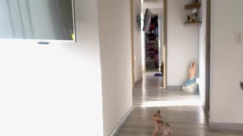 Snapshot of adan_eva960 chatting on September 10, 2025, 12:16 pm eva online show from September 10, 2025, 12:16 pm