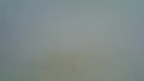 Snapshot of afronubians chatting on March 5, 2025, 9:16 am afronubians online show from March 5, 2025, 9:16 am