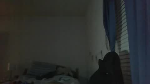 Snapshot of ally12334 chatting on October 25, 2025, 2:30 am ally12334 online show from October 25, 2025, 2:30 am