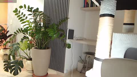 Snapshot of ambarhill chatting on January 22, 2025, 4:02 am Ambar online show from January 22, 2025, 4:02 am