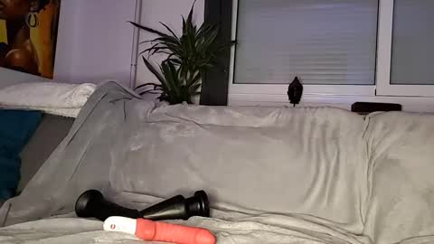 Snapshot of amelange chatting on March 7, 2025, 11:38 pm amelange online show from March 7, 2025, 11:38 pm