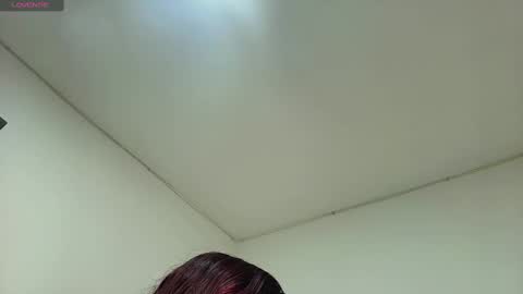 Snapshot of ameli_and_lucas chatting on January 12, 2025, 3:17 am Amelia  Lucas online show from January 12, 2025, 3:17 am