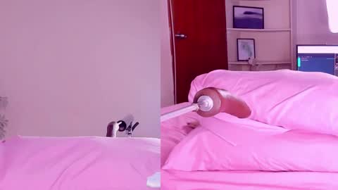 Snapshot of angeli__wu chatting on February 18, 2025, 3:21 am Angeli  online show from February 18, 2025, 3:21 am
