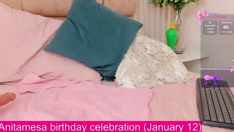 Snapshot of anitamesa chatting on January 8, 2025, 8:49 am Anita online show from January 8, 2025, 8:49 am