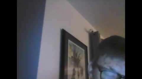 Snapshot of ariens chatting on January 14, 2025, 6:45 am ariens online show from January 14, 2025, 6:45 am