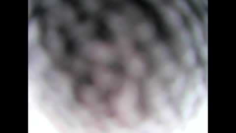 aussie64 online show from March 8, 2025, 4:56 am