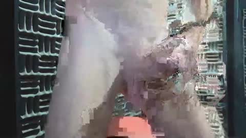 Snapshot of aussieraz chatting on December 16, 2024, 8:20 am aussieraz online show from December 16, 2024, 8:20 am