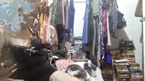 Snapshot of babe4u1234 chatting on December 3, 2024, 11:33 am babe4u1234 online show from December 3, 2024, 11:33 am