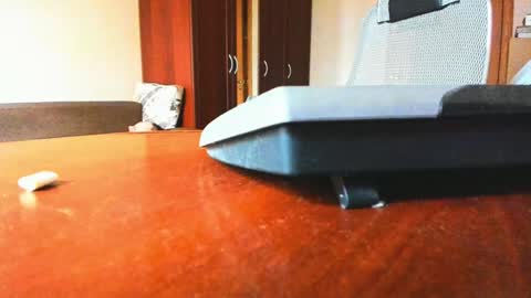 Snapshot of banana_skinny_boy chatting on February 6, 2025, 9:43 am BananaBoy online show from February 6, 2025, 9:43 am