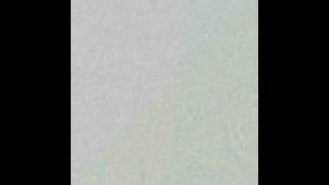 beatedgod online show from November 19, 2025, 2:17 pm