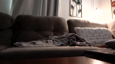 Snapshot of biglk324645168 chatting on March 12, 2025, 2:56 pm biglk324645168 online show from March 12, 2025, 2:56 pm