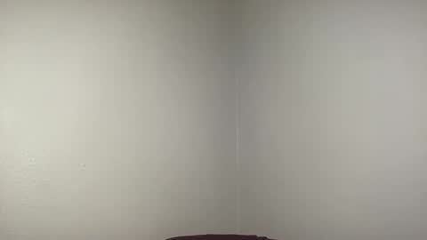 Snapshot of bigmcr1 chatting on February 16, 2025, 11:59 pm Nick Barker online show from February 16, 2025, 11:59 pm