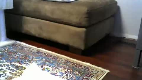 Snapshot of bigr_101 chatting on November 16, 2025, 4:29 am bigr_101 online show from November 16, 2025, 4:29 am