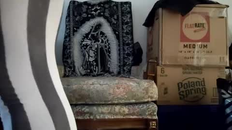 Snapshot of bigtopcircus chatting on September 22, 2025, 10:56 pm bigtopcircus online show from September 22, 2025, 10:56 pm