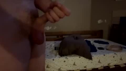 Snapshot of bigwheel999 chatting on December 21, 2024, 9:23 am bigwheel999 online show from December 21, 2024, 9:23 am