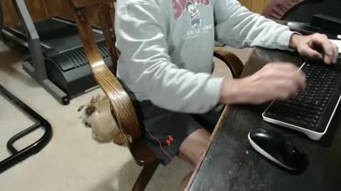 Snapshot of billy471 chatting on January 5, 2025, 9:14 pm billy471 online show from January 5, 2025, 9:14 pm