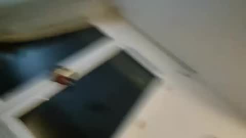 Snapshot of bomale89 chatting on December 22, 2024, 11:09 pm bomale89 online show from December 22, 2024, 11:09 pm