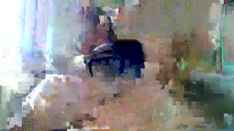 Snapshot of bpbww chatting on September 19, 2025, 4:40 pm bpbww online show from September 19, 2025, 4:40 pm