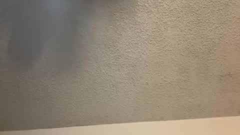 Snapshot of brownsugar0910 chatting on February 11, 2025, 3:50 am EtherealLilac online show from February 11, 2025, 3:50 am