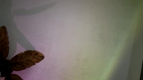 Snapshot of brownsugar0910 chatting on March 11, 2025, 3:23 pm EtherealLilac online show from March 11, 2025, 3:23 pm