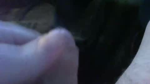 Snapshot of bullemoe chatting on September 30, 2025, 5:23 am bullemoe online show from September 30, 2025, 5:23 am