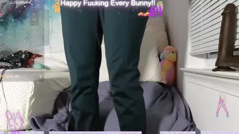 Snapshot of bunnycheekz chatting on December 12, 2024, 2:37 am Tokki bunny online show from December 12, 2024, 2:37 am