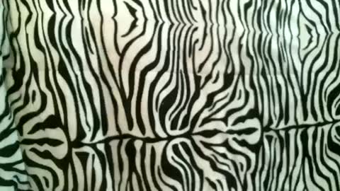 Snapshot of bustinfree chatting on October 18, 2025, 12:39 pm bustinfree online show from October 18, 2025, 12:39 pm