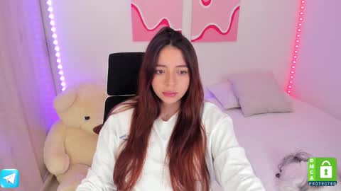 Snapshot of camila_ec2 chatting on February 10, 2025, 11:34 pm C A M I online show from February 10, 2025, 11:34 pm