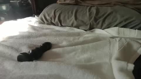 Snapshot of canadianboy88 chatting on January 27, 2025, 7:24 pm CanadianBoy88 online show from January 27, 2025, 7:24 pm