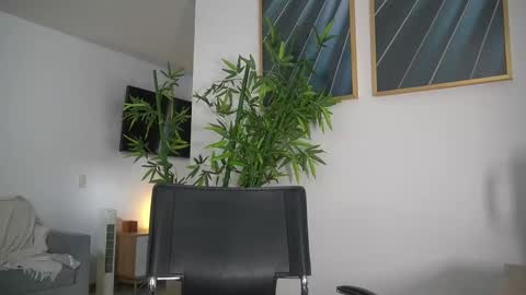 Snapshot of canelasungirl chatting on September 10, 2025, 7:36 pm Jency NEW IG IMCANELA   online show from September 10, 2025, 7:36 pm