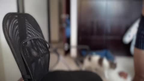 Snapshot of carlcarlinches4 chatting on March 10, 2025, 2:59 pm carlcarlinches4 online show from March 10, 2025, 2:59 pm