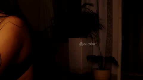 Snapshot of carolart chatting on February 9, 2025, 3:00 am carolart online show from February 9, 2025, 3:00 am