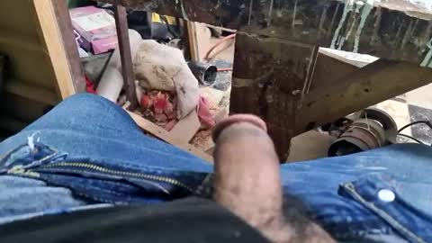 Snapshot of charly2289 chatting on September 9, 2025, 1:32 pm Parcero online show from September 9, 2025, 1:32 pm