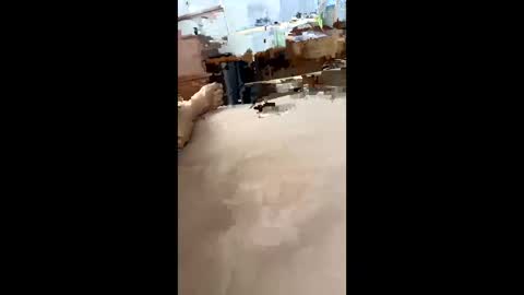 Snapshot of chasejase20333 chatting on December 16, 2024, 7:37 am chasejase20333 online show from December 16, 2024, 7:37 am