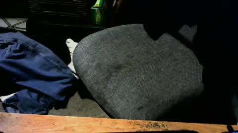 Snapshot of chefy999 chatting on January 9, 2025, 1:02 pm chefy online show from January 9, 2025, 1:02 pm