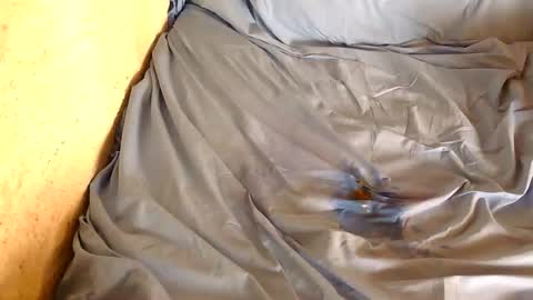 Snapshot of chpoor chatting on February 28, 2025, 3:04 pm davenz online show from February 28, 2025, 3:04 pm