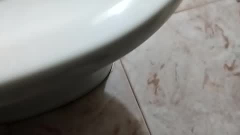 Snapshot of ciccilli chatting on October 5, 2025, 8:29 pm ciccilli online show from October 5, 2025, 8:29 pm