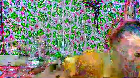 Snapshot of cristine316 chatting on February 25, 2025, 5:19 am cristine316 online show from February 25, 2025, 5:19 am