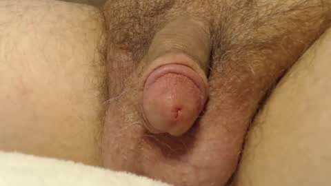 Snapshot of curve66 chatting on October 16, 2025, 12:55 am curve66 online show from October 16, 2025, 12:55 am