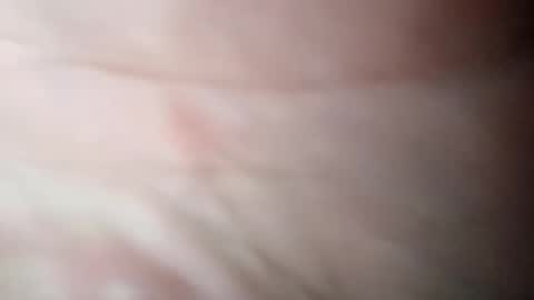 d702261 online show from November 7, 2025, 1:55 pm