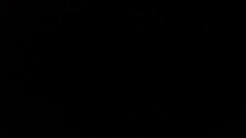 Snapshot of dabirdfree chatting on December 4, 2024, 10:30 pm Destroyer online show from December 4, 2024, 10:30 pm