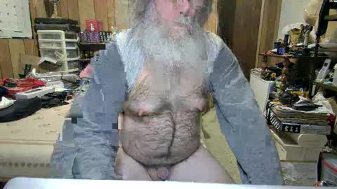 Snapshot of danagm chatting on December 8, 2024, 4:35 am Dana online show from December 8, 2024, 4:35 am